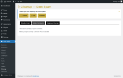 Page screenshot: Dam Spam &rarr; Cleanup &rarr; Delete Comments