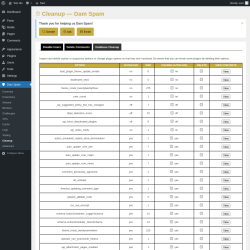 Page screenshot: Dam Spam &rarr; Cleanup &rarr; Database Cleanup