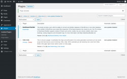 Page screenshot: Plugins &lsaquo; Test site &mdash; WordPress