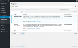 Page screenshot: Plugins &lsaquo; Test site &mdash; WordPress