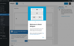 Page screenshot: Widgets ‹ Test site — WordPress