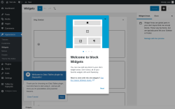 Page screenshot: Widgets ‹ Test site — WordPress