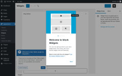 Page screenshot: Widgets ‹ Test site — WordPress