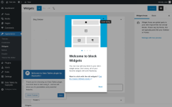Page screenshot: Widgets ‹ Test site — WordPress