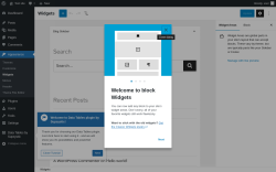 Page screenshot: Widgets ‹ Test site — WordPress