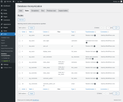 Page screenshot: Tools → Database Anonymization → 
            Rules