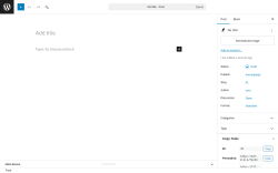Page screenshot: Add Post &lsaquo; Test site &mdash; WordPress