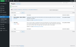 Page screenshot: Plugins &lsaquo; Test site &mdash; WordPress
