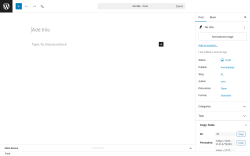 Page screenshot: Add Post &lsaquo; Test site &mdash; WordPress