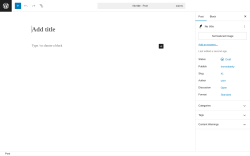 Page screenshot: Add Post ‹ Test site — WordPress