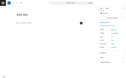 Page screenshot: Add Post ‹ Test site — WordPress