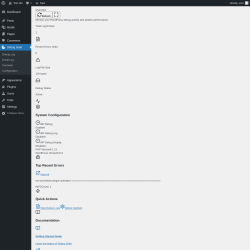 Page screenshot: Overview - Debug Suite