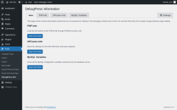 Page screenshot: Tools → DebugPress Info
