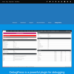 Page screenshot: Settings → DebugPress → 
            Website        