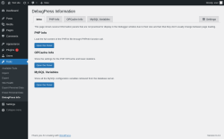 Page screenshot: Tools → DebugPress Info