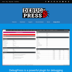 Page screenshot: Settings → DebugPress → 
            Website        