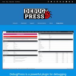 Page screenshot: Settings → DebugPress → 
            Website        
