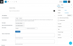 Page screenshot: Add New Post &lsaquo; Test site &mdash; WordPress