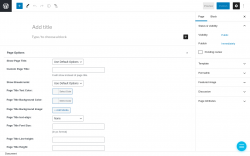 Page screenshot: Add New Page &lsaquo; Test site &mdash; WordPress