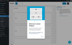 Page screenshot: Widgets &lsaquo; Test site &mdash; WordPress