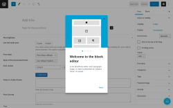 Page screenshot: Add New Post &lsaquo; Test site &mdash; WordPress