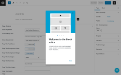 Page screenshot: Add New Page &lsaquo; Test site &mdash; WordPress