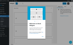 Page screenshot: Widgets &lsaquo; Test site &mdash; WordPress