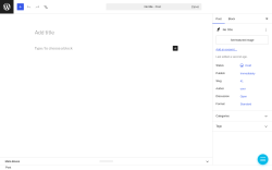 Page screenshot: Add Post &lsaquo; Test site &mdash; WordPress