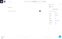 Page screenshot: Add Page &lsaquo; Test site &mdash; WordPress
