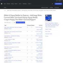 Page screenshot: Depicter &rarr; Support