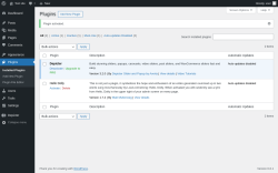 Page screenshot: Plugins &lsaquo; Test site &mdash; WordPress