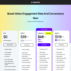 Page screenshot: Depicter &rarr; Upgrade to PRO