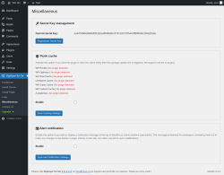 Page screenshot: Deployer for Git → Miscellaneous