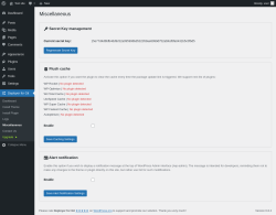 Page screenshot: Deployer for Git → Miscellaneous