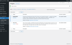 Page screenshot: Plugins &lsaquo; Test site &mdash; WordPress