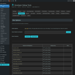 Page screenshot: Developer Debug Tools &rarr; Site Options