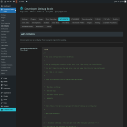 Page screenshot: Developer Debug Tools &rarr; WP-CONFIG
