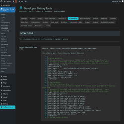 Page screenshot: Developer Debug Tools &rarr; HTACCESS