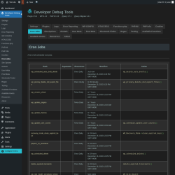 Page screenshot: Developer Debug Tools &rarr; Cron Jobs