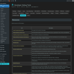 Page screenshot: Developer Debug Tools &rarr; Resources