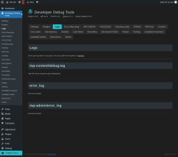 Page screenshot: Developer Debug Tools &rarr; Logs