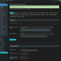 Page screenshot: Developer Debug Tools