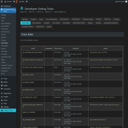 Page screenshot: Developer Debug Tools &rarr; Cron Jobs
