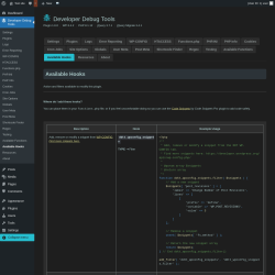 Page screenshot: Developer Debug Tools &rarr; Available Hooks