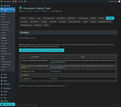 Page screenshot: Developer Debug Tools &rarr; Cookies