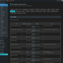 Page screenshot: Developer Debug Tools &rarr; Cron Jobs
