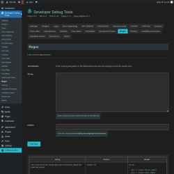 Page screenshot: Developer Debug Tools &rarr; Regex