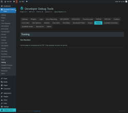 Page screenshot: Developer Debug Tools &rarr; Testing