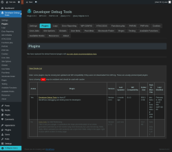 Page screenshot: Developer Debug Tools &rarr; Plugins