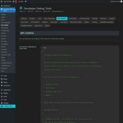 Page screenshot: Developer Debug Tools &rarr; WP-CONFIG